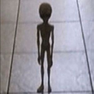 Meet your Posher, Isabella